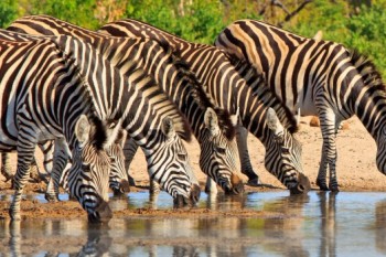 Zimbabwe adventure tours 